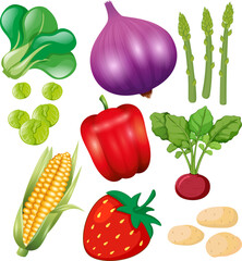 Healthy Vegetables for Home Cooking