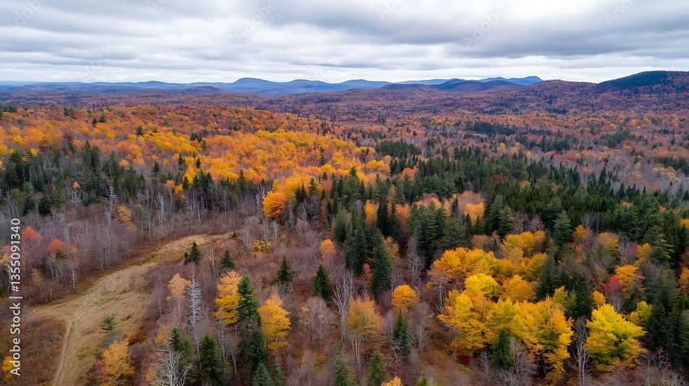 Aufkleber vibrant aerial view of autumn foliage showcasing a tapestry of colorful trees against a cloudy sky :