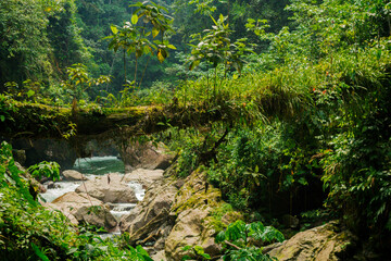 waterfall, rock and water