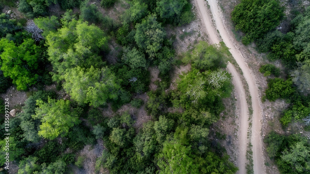 Poster aerial view of a winding dirt path through lush green foliage and trees : generative ai