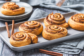 Homemade cinnamon rolls on a gray earthenware tray on gray background