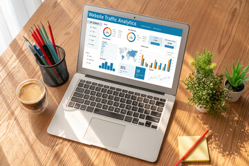 Computer software for website traffic analytics data on computer screen. Concept of SEO search...