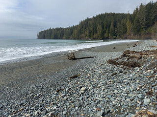 Overcast day at a rocky beach lined with evergreen trees
