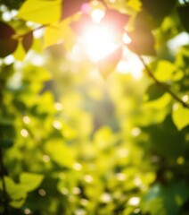 Dreamy, soft-focus nature scene with blurred green leaves and sunlit bokeh, out of focus, Bokeh, backdrop
