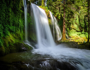 Fototapeta premium A cascading waterfall captured in slow motion surrounded by lush green forest to symbolize untouched natural beauty