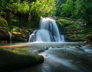 Obraz premium A cascading waterfall captured in slow motion surrounded by lush green forest to symbolize untouched natural beauty