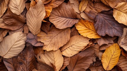Colorful Autumn Leaves on the Ground Creating a Seasonal Nature Scene Full of Warmth : Generative AI
