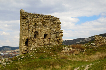 ruins of the castle