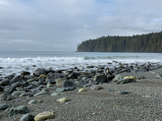 A dog sitting on rocks on the Pacific Northwest Coast