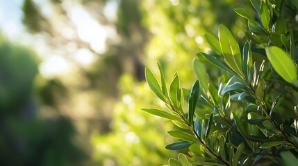 Obraz premium Close up of vibrant green leaves highlighting the lush greenery in a serene natural environment : Generative AI