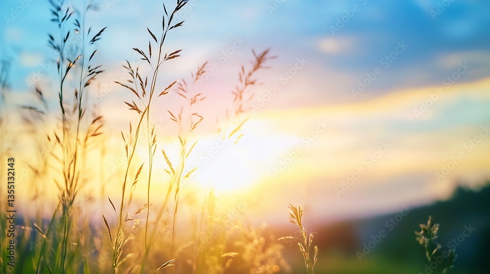 Poster Golden Sunset Illuminating Tall Grass in a Scenic Field Creating a Serene Atmosphere : Generative AI