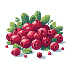 red, fruit, food, cranberry, ripe, berry, juicy, organic, background, fresh, isolated, healthy, group, sweet, green, cowberry, lingonberry, leaves, white, raw, vitamin, cranberries, leaf, berries, nat
