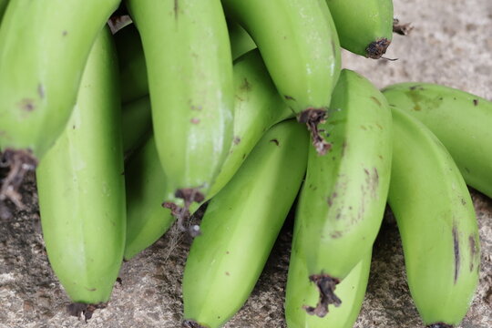 Una toma de cerca de cambures verdes colocados en un piso