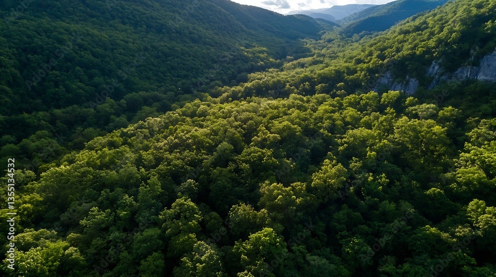 Poster Aerial view of lush green forest hills with sunlight filtering through the tree canopy : Generative AI