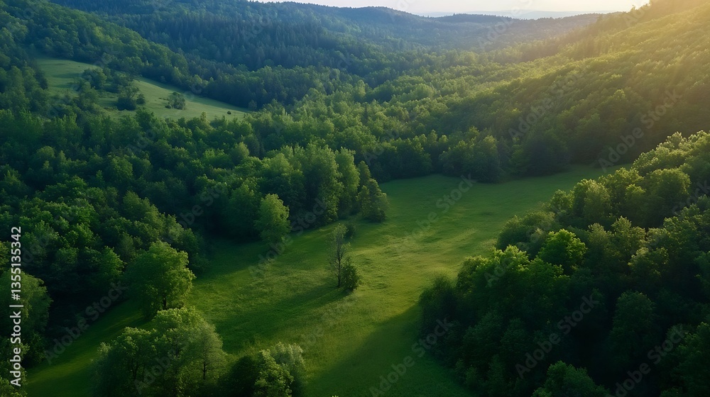 Poster aerial view of a lush green landscape surrounded by trees and fields under natural sunlight showcasi