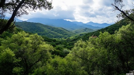 Breathtaking view of a lush green valley with mountains in the background under dramatic clouds : Generative AI