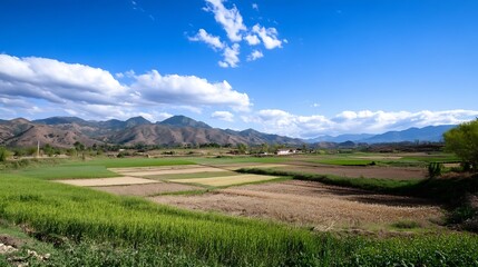 Obraz premium Expansive agricultural landscape showcasing vibrant fields under a bright blue sky with scattered clouds : Generative AI