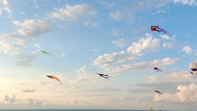 Colourful kites of different shapes and sizes flying high in wind at kite festival. Beautiful different types of kitesurfing and flying in air against sky. City kite festival