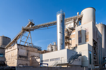 Lime plant at sunny day