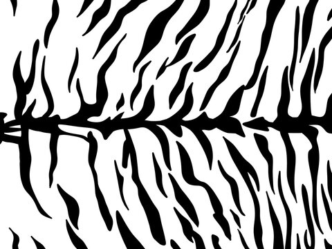 Tiger skin pattern with black, Monochrome animal skin background, illustration