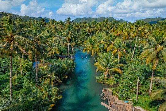 Scenic Maasin River Cruise in Siargao &ndash; A Tranquil Journey Through Lush Palm-Lined Waters, Featuring the Famous Bent Palm Tree and Stunning Tropical Scenery!
