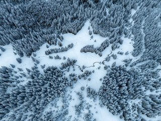 Aerial view of snow covered forest. White fir trees in winter landscape.