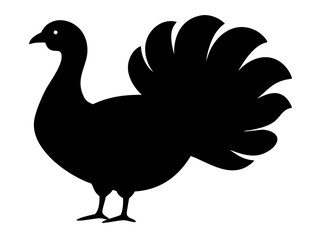 Silhouette of a striking bird, its magnificent tail fanned in a display of elegance and grace. The bird’s form is presented in stark contrast against the background. AI Generative