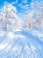Fototapeta premium Snowy Trail Through Winter Woods