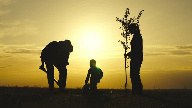 A family is planting a tree in a field. The sun is setting, casting a warm glow over the scene. The family members are working together, with one man holding a shovel and another man holding a tree