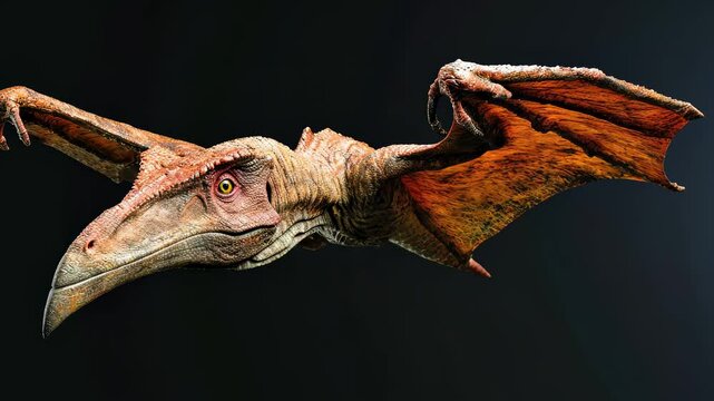 Ancient creature: video showcasing dinosaur, capturing essence of prehistoric life, majestic movements, fascinating world of extinct species in vivid, dynamic detail.