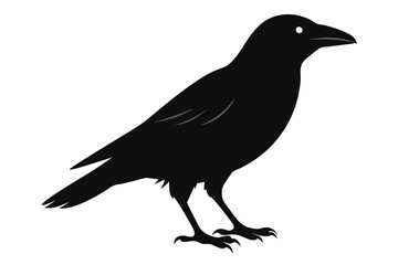 Obraz premium Black Crow Silhouette, Elegant Bird Illustration, Raven Standing Side Profile, Wild Bird