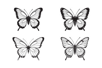 Butterfly Silhouettes Vector Insect Illustration Set  