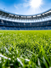 Stadium Grass, Sunny Day, Wide View