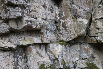 Natural background