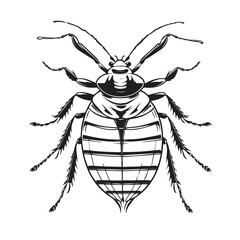 “Bed bug vector outline icon, Black and white vector illustration of various insects including a beetle and spider