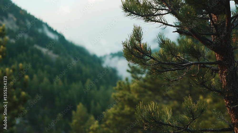 Poster serene pine trees overlooking a mountainous landscape in soft morning light : generative ai