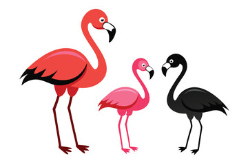 Obraz premium Cartoon Standing Flamingo Birds Red, Pink, Black with Long Legs on White Background