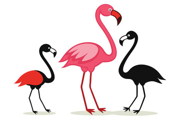 Obraz premium Cartoon Three Flamingos Pink Flamingo Standing with Two Black Flamingo Isolated View