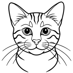 vector illustration of a cat