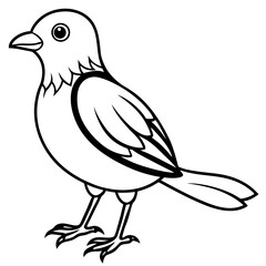Obraz premium vector illustration of a bird