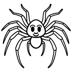 spider on a white background