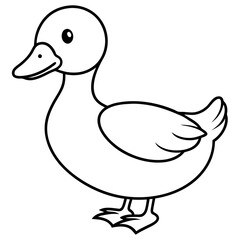 duck isolated on white