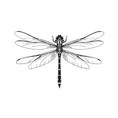 Dragonfly on White Background with Green Wings Close-up