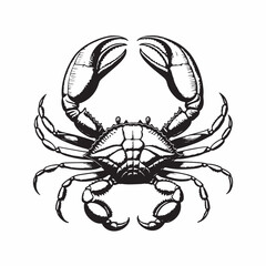 Black and white vector illustration of a crab and a scorpion