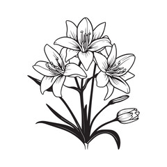 Bouquet flower illustration. A drawing of flowers with the words lily on it