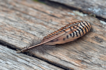 Fototapeta premium Unique feather crafted into a decorative pen resting on natural wooden surface