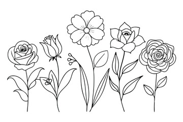 Outlined Flower Set Roses, Daisy, Floral Elements, Botanical, Line Art, Isolated
