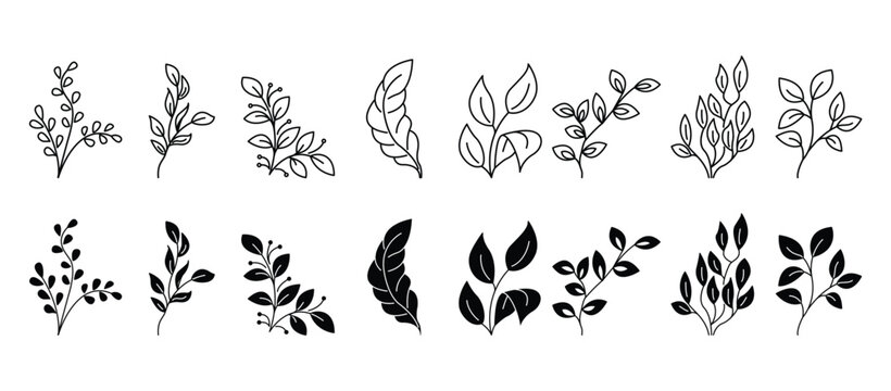Icon set about flowers and leaves. Collection flat icons about flowers. Icon set of flower, Symbol flowers collection in transparent background.