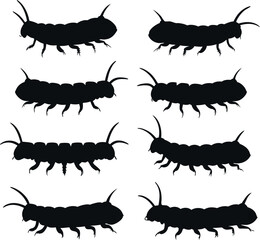 Set consistent armyworm silhouette black color vector 