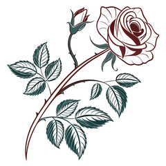  an artistic vector depiction of a single rose eps
